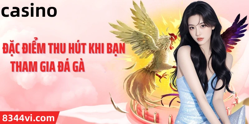 Hình ảnh quảng cáo của s66 hiển thị nền tảng và các lợi ích